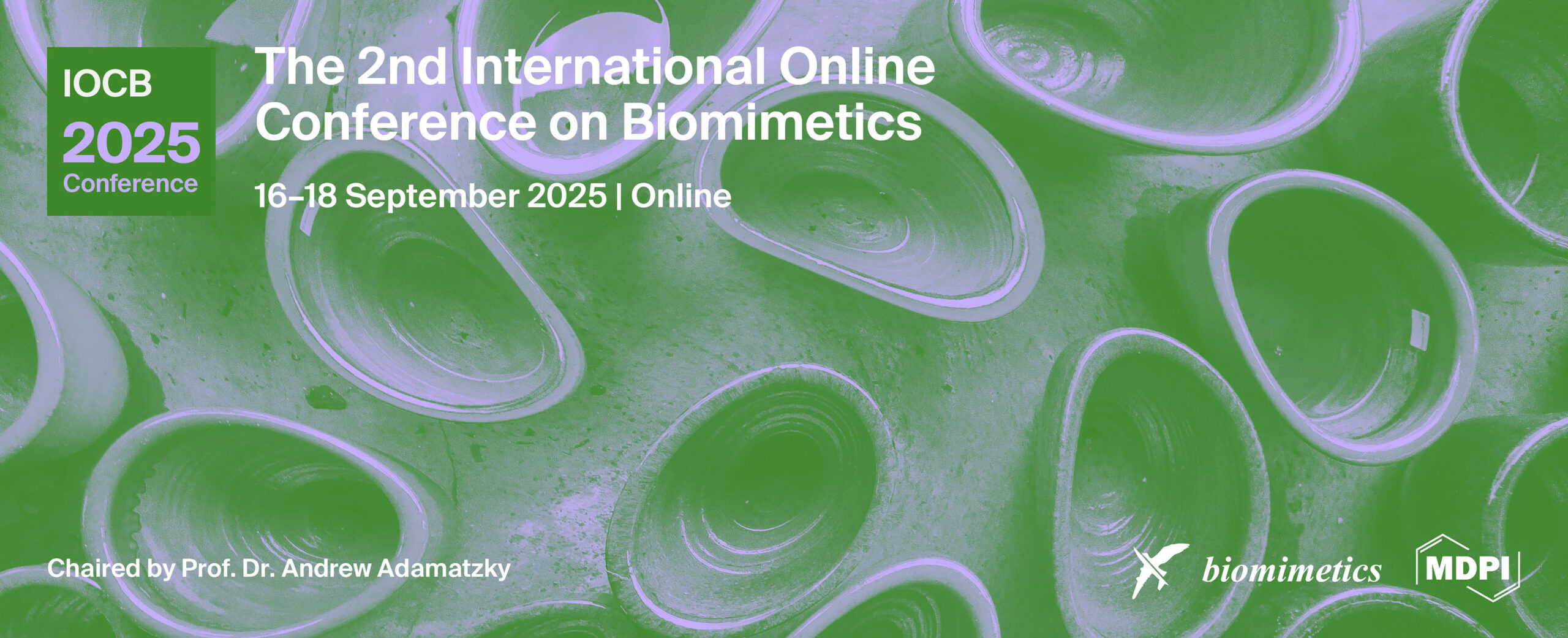 Silvia is serving as Event Committee in the 2nd International Online Conference on Biomimetics